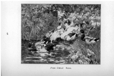 Anatre da Franz Grassel